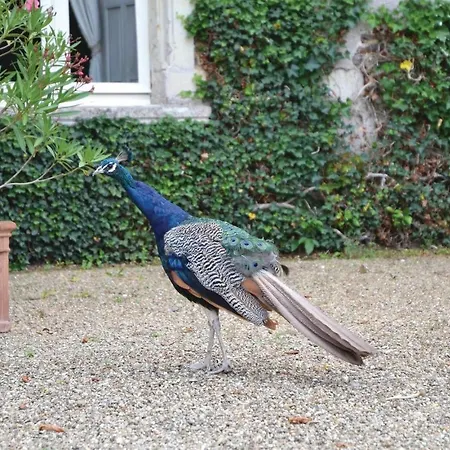 Holiday Home Chenille-Change I-919 *